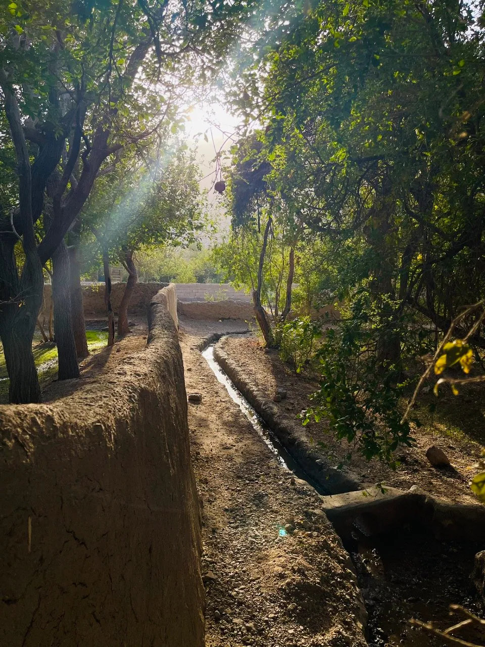 Scenic views of Anar Dara District in Farah Province, showing fertile valleys, vineyards, rural villages, and agricultural landscapes in western Afghanistan.