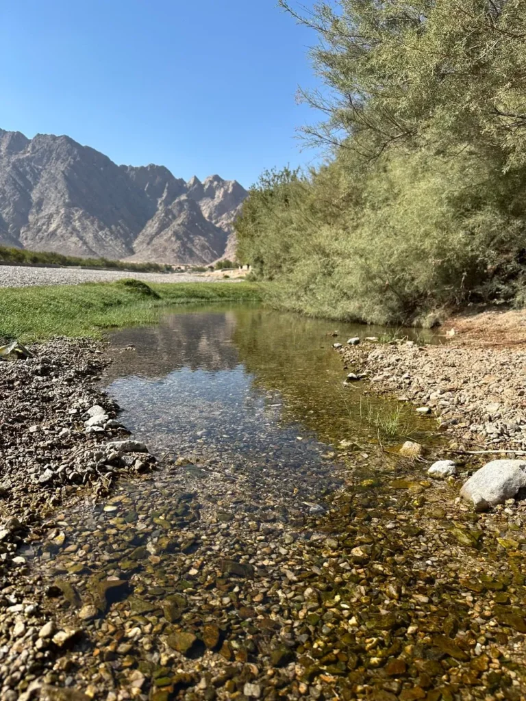 Anar Dara District, Farah Province (8)