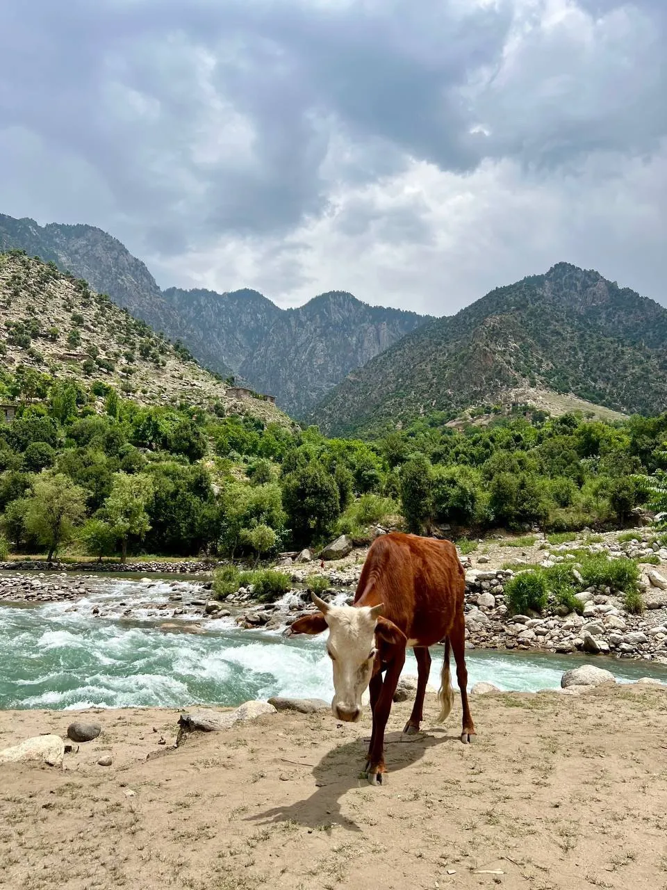 Natural scenery of Nuristan Province in eastern Afghanistan, showing forested mountains, rivers, and traditional villages in a remote landscape.
