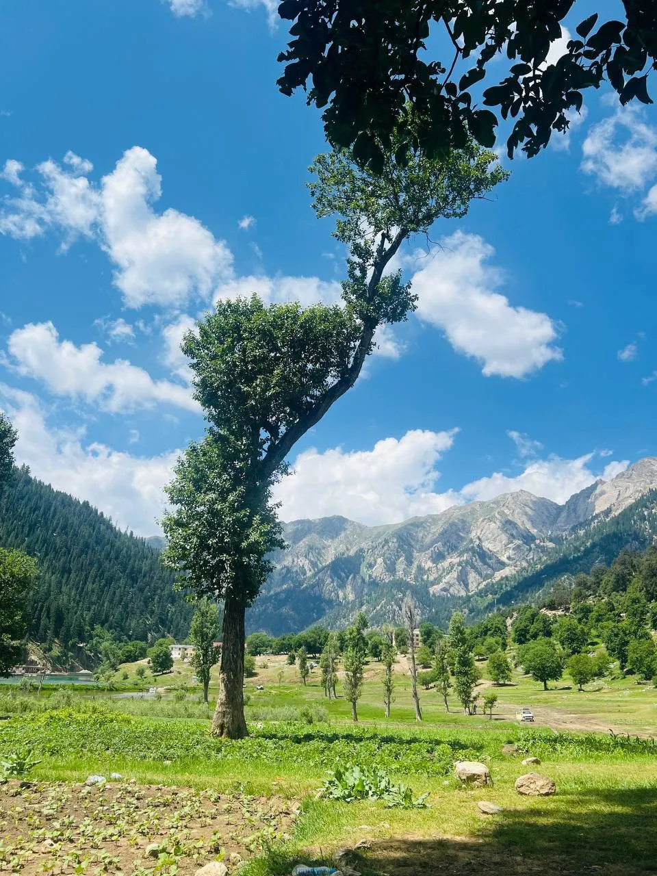 Natural scenery of Nuristan Province in eastern Afghanistan, showing forested mountains, rivers, and traditional villages in a remote landscape.