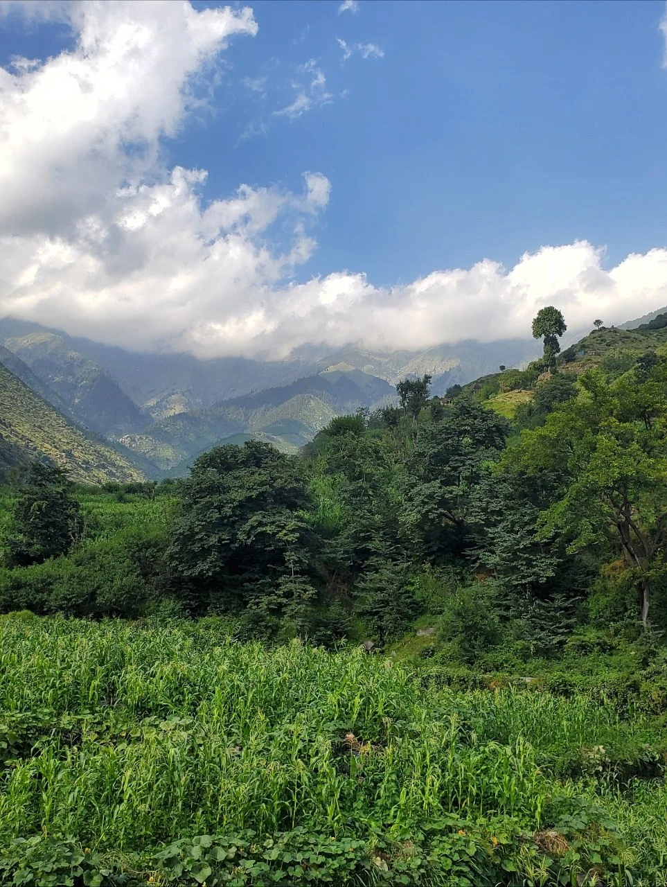 Natural landscape of Dara-e Noor District in Nangarhar Province, showing green valleys, mountains, and rural scenery in eastern Afghanistan.